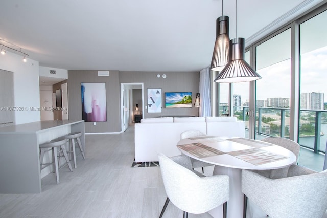 dining room featuring hardwood / wood-style flooring, track lighting, and floor to ceiling windows