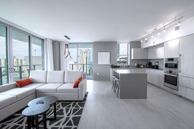 living room featuring rail lighting, light hardwood / wood-style floors, and a wall of windows