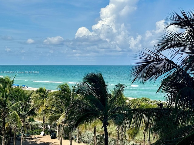 property view of water featuring a beach view