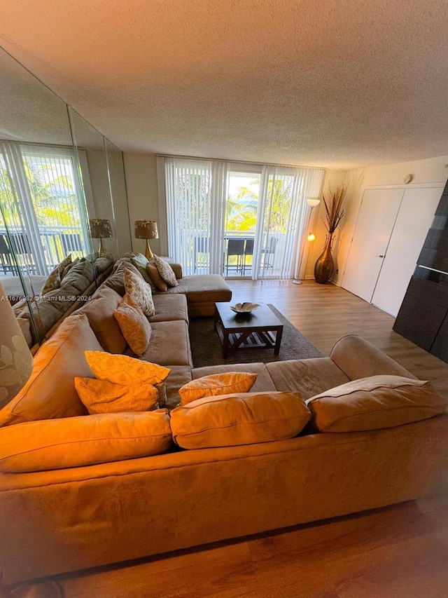 living room featuring hardwood / wood-style floors and a textured ceiling