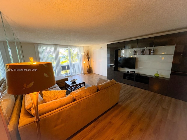 living room featuring hardwood / wood-style floors and a textured ceiling