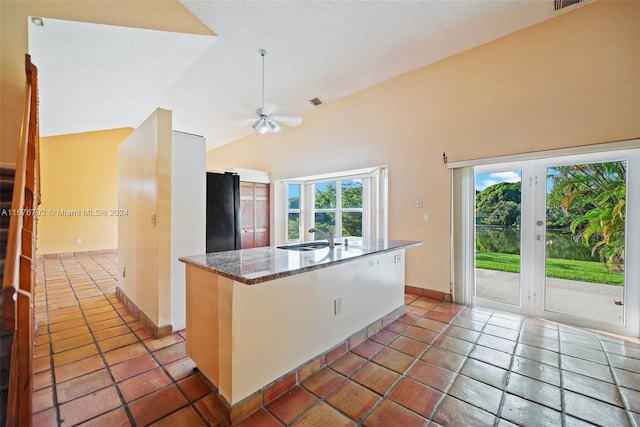 kitchen with sink, ceiling fan, a wealth of natural light, and black refrigerator