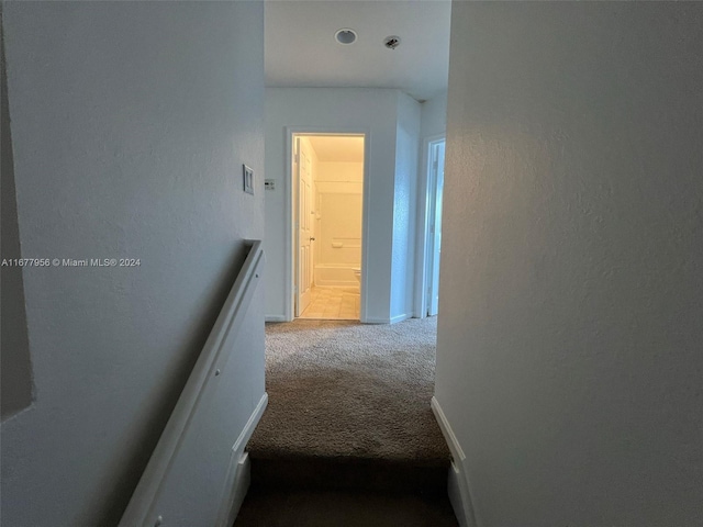 hallway with carpet floors