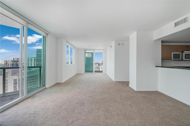 carpeted spare room with a healthy amount of sunlight