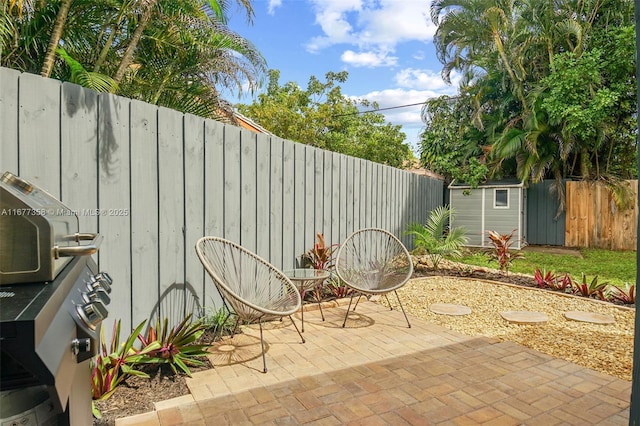 view of patio / terrace featuring a shed