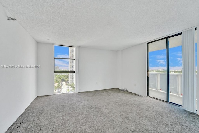 unfurnished room featuring expansive windows, a textured ceiling, and carpet flooring