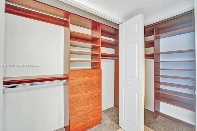 walk in closet featuring light carpet