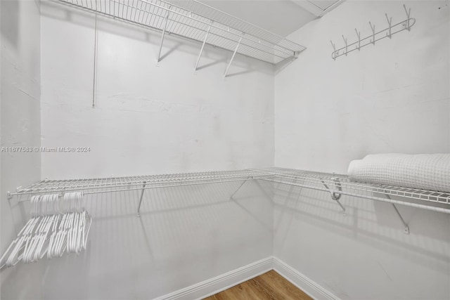 walk in closet featuring hardwood / wood-style floors