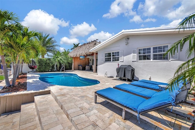 view of swimming pool with a grill and a patio area