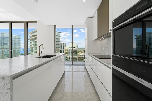 kitchen with a healthy amount of sunlight, expansive windows, sink, and white cabinets