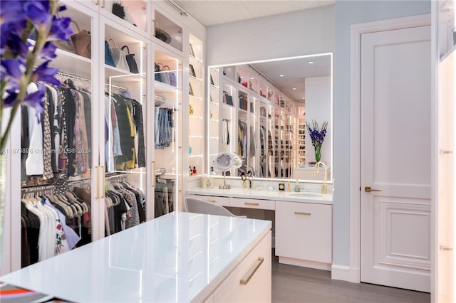 walk in closet with a sink and wood finished floors
