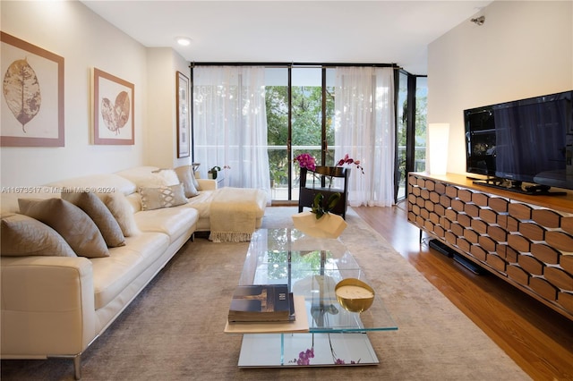 living room featuring expansive windows, hardwood / wood-style flooring, and a wealth of natural light