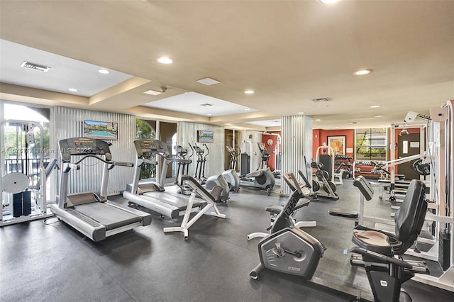 workout area featuring a raised ceiling and a wealth of natural light