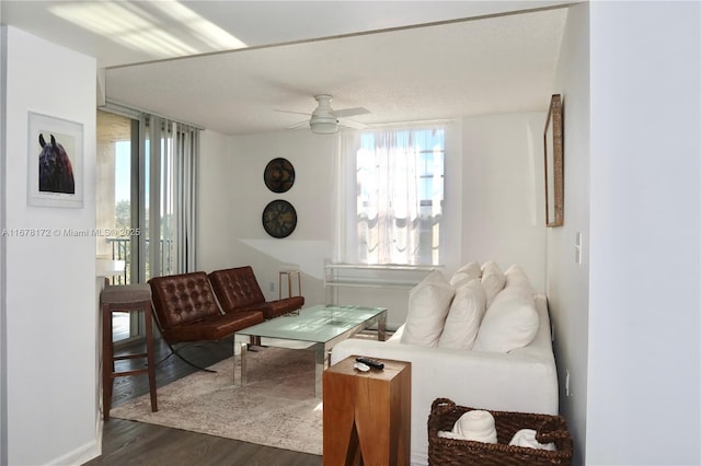 living room featuring radiator, ceiling fan, and dark hardwood / wood-style flooring