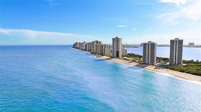 water view featuring a view of the beach