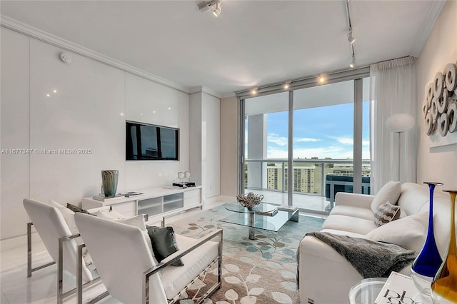 living room featuring ornamental molding, track lighting, and floor to ceiling windows