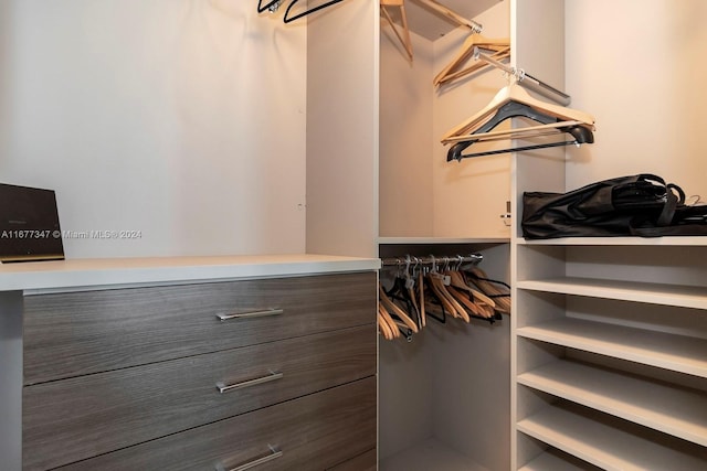 view of spacious closet