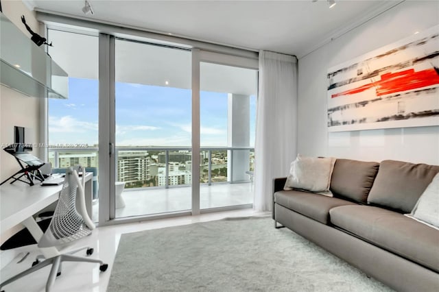 living room featuring floor to ceiling windows