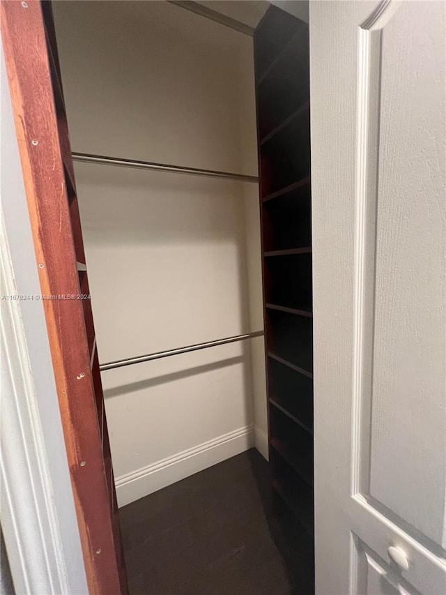 view of closet