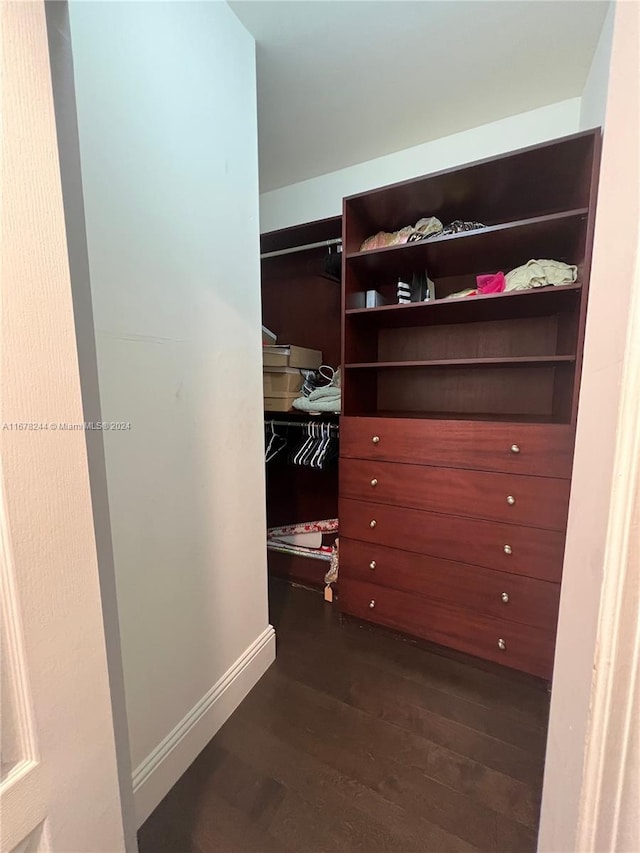 spacious closet featuring dark hardwood / wood-style flooring