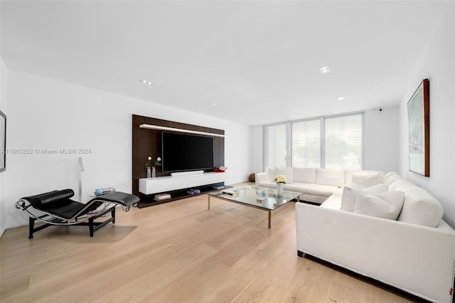 living room featuring light hardwood / wood-style flooring