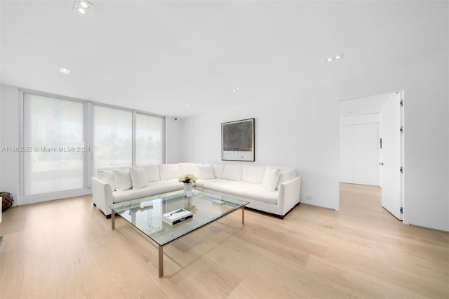 living room featuring light hardwood / wood-style floors