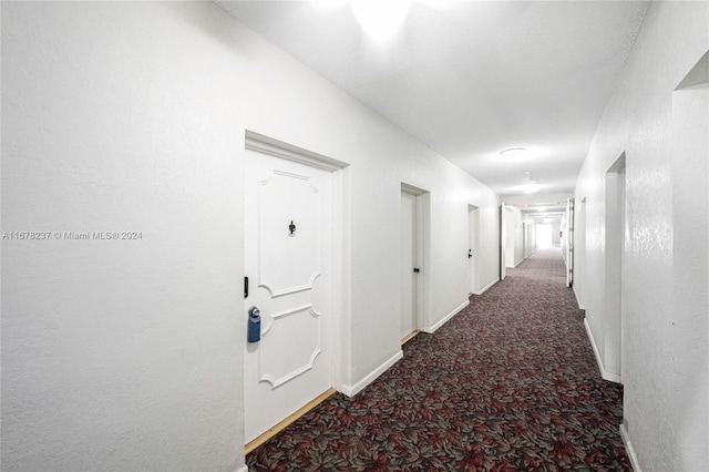 hall featuring carpet