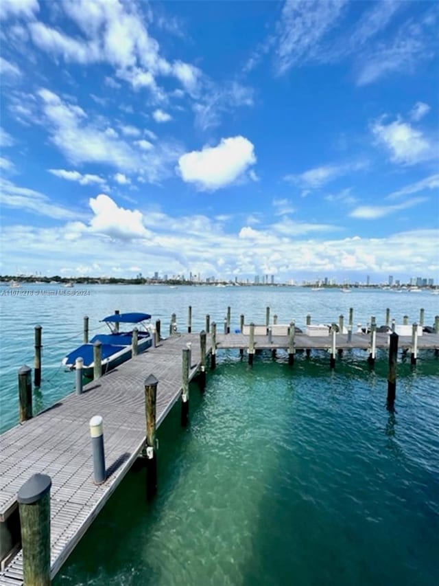 dock area with a water view