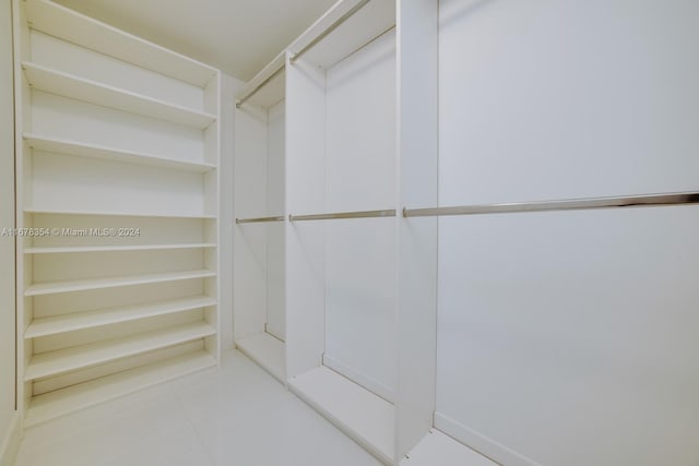 view of spacious closet