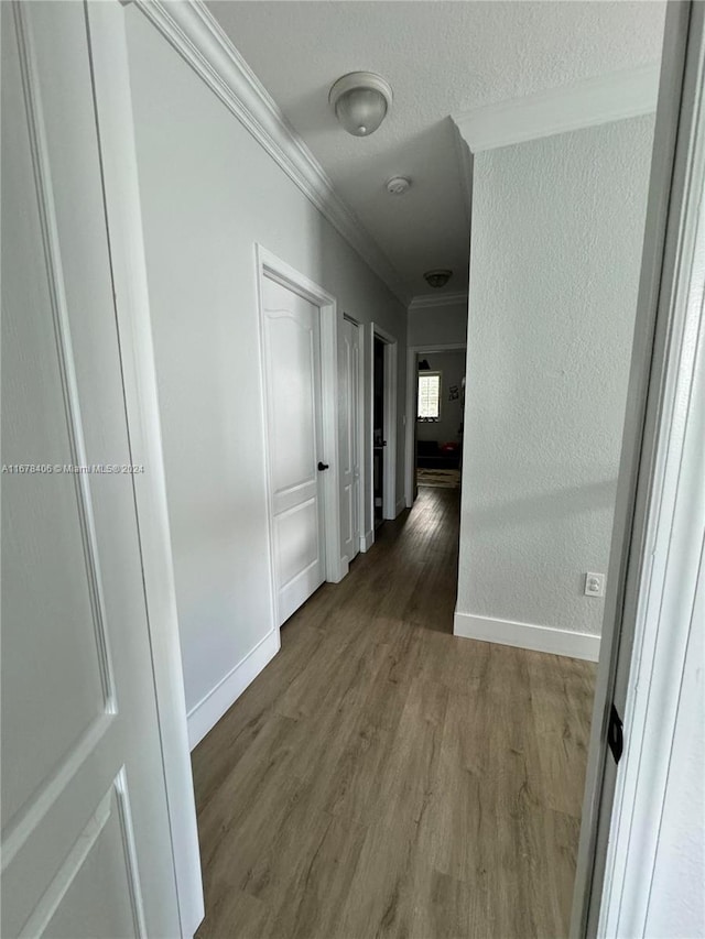 corridor featuring crown molding and hardwood / wood-style floors