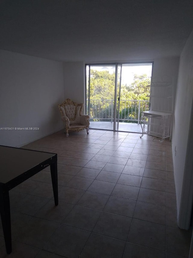 spare room with dark tile patterned floors