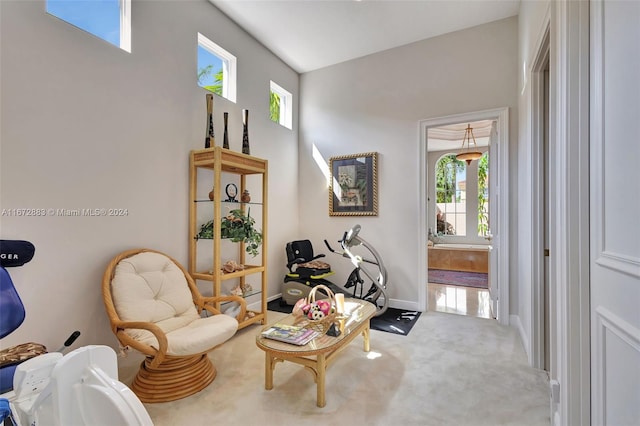 sitting room featuring carpet floors