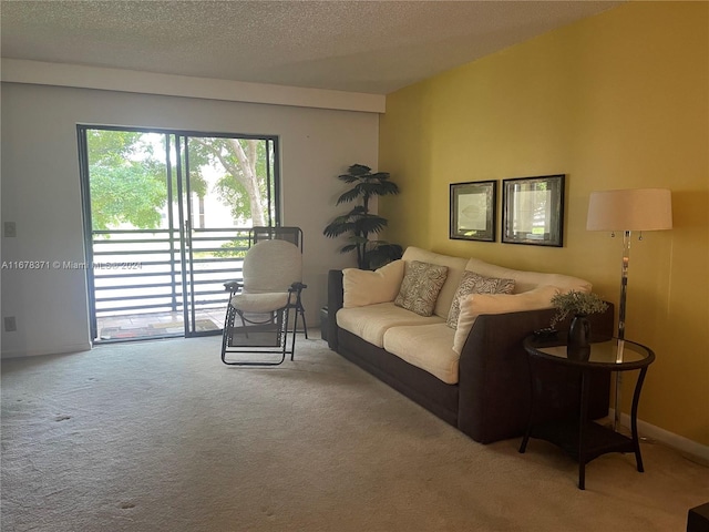 carpeted living area with baseboards and a textured ceiling