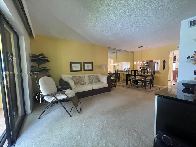 carpeted living room featuring a textured ceiling