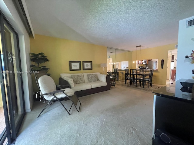 living area featuring a textured ceiling and carpet