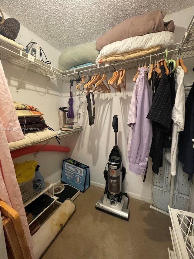 walk in closet featuring carpet flooring
