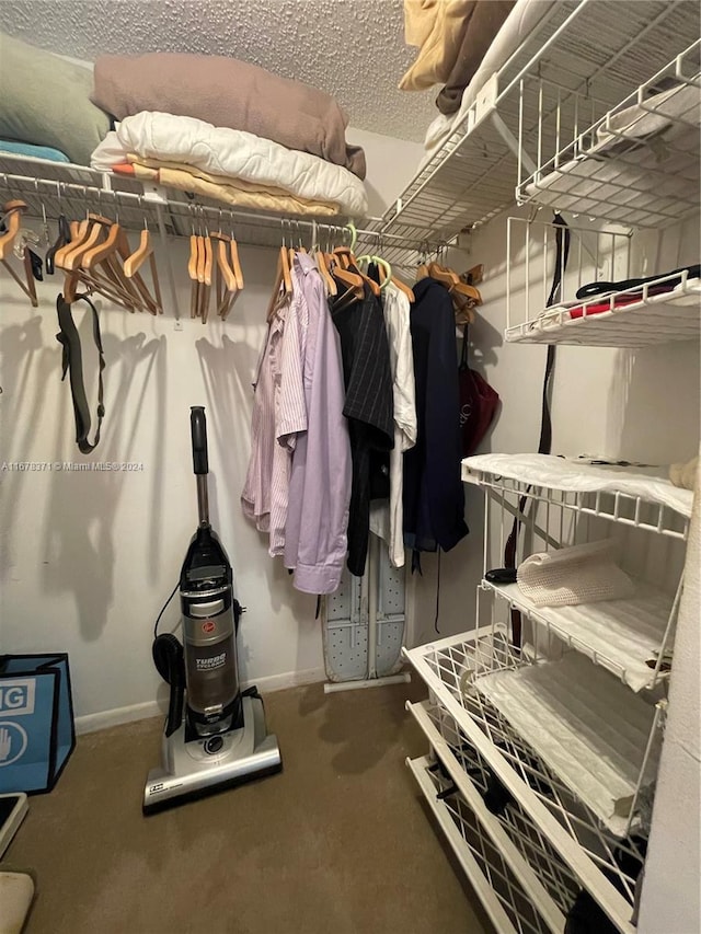 walk in closet featuring carpet flooring