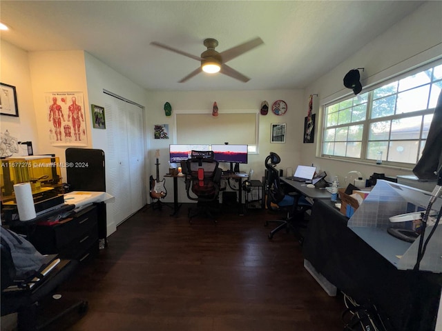 home office with dark hardwood / wood-style floors and ceiling fan