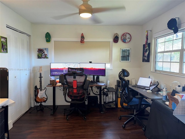 home office with ceiling fan and dark hardwood / wood-style flooring