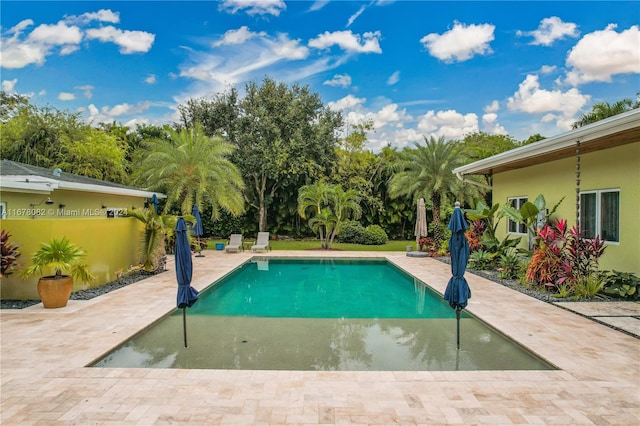 view of swimming pool featuring a patio area