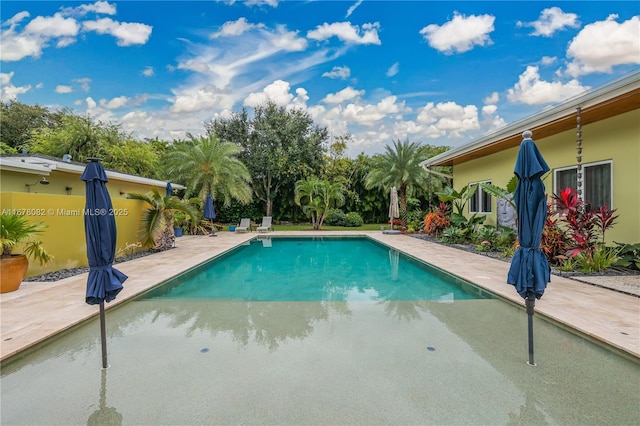 view of pool featuring a patio area