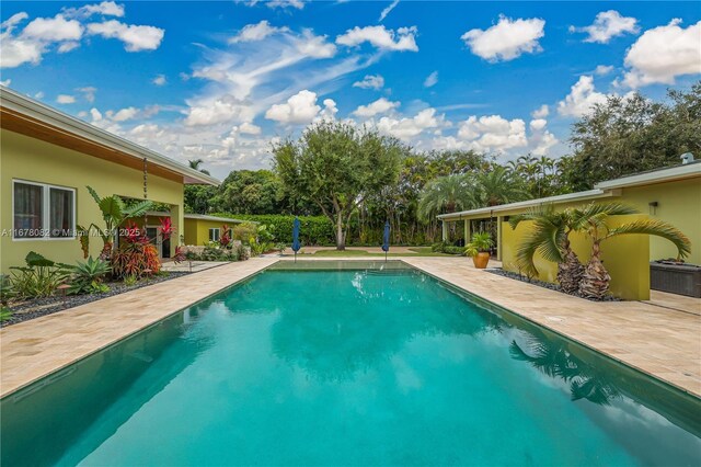 view of pool with a patio area