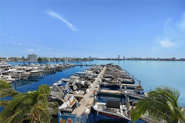 dock area with a water view