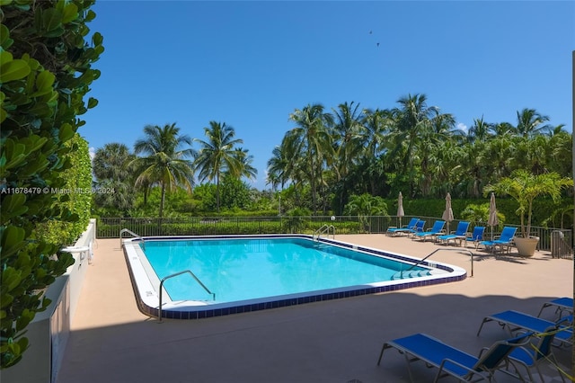 view of pool featuring a patio