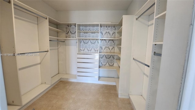 view of walk in closet