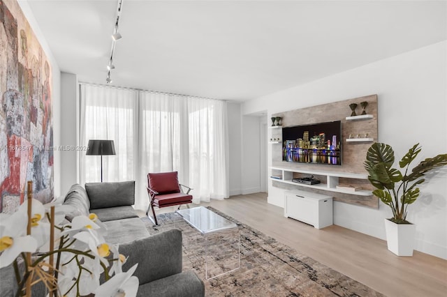 living room featuring track lighting and light hardwood / wood-style flooring