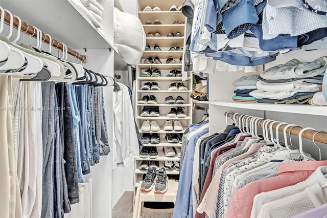 view of spacious closet