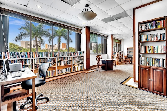 office area featuring carpet and a drop ceiling