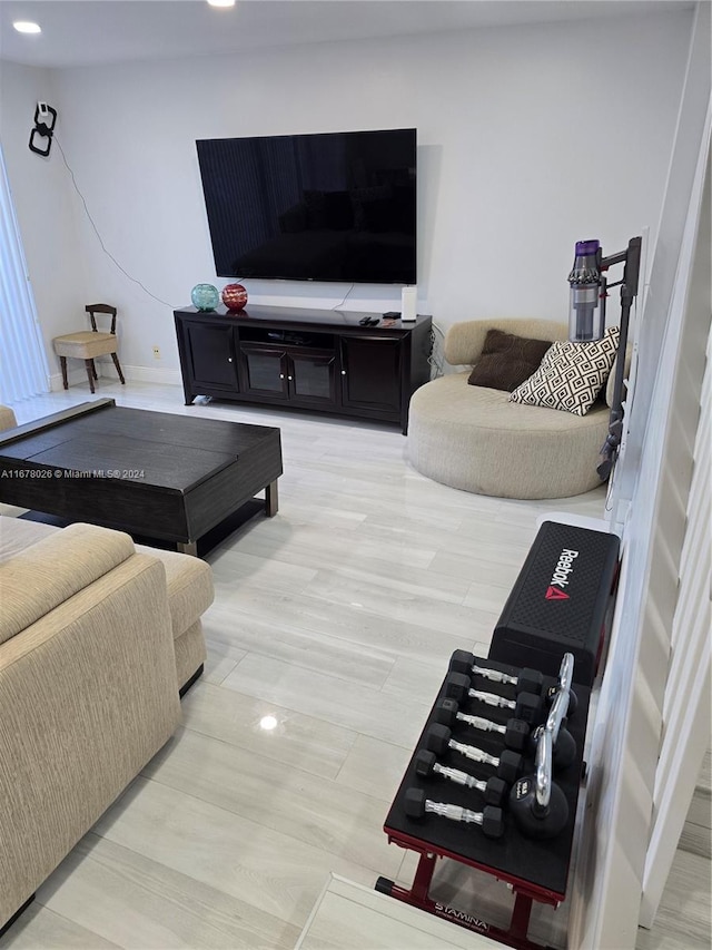 living room with light hardwood / wood-style floors