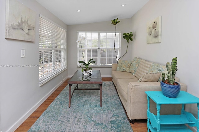 living room with hardwood / wood-style floors and vaulted ceiling